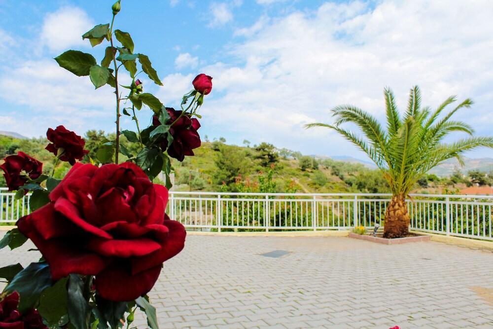 Hotel Diamond Limenaria  Exterior foto